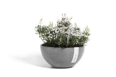 Кашпо Экопотс Brussels D30 H14 см серое 74.001.30G (BR.30.GR) ECOPOTS в интернет гипермаркете «Планета Лета». Фото Кашпо Экопотс Brussels D30 H14 см серое 74.001.30G (BR.30.GR) в интернет гипермаркете «Планета Лета». Фото