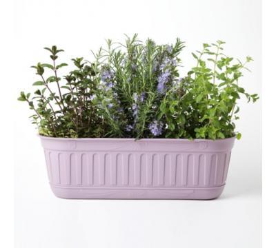 Балконный ящик Etika с прикреп. поддоном 49*18; h15 см лаванда 30950 в интернет гипермаркете «Планета Лета». Фото