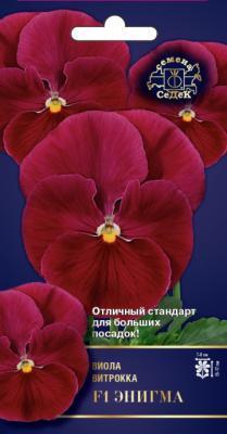 Виола Энигма F1 Евро, 5 в интернет гипермаркете «Планета Лета». Фото