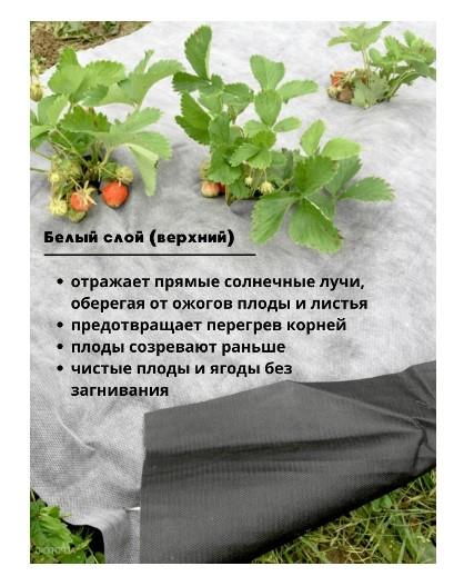 Мульчирующий материал Агротекс  80- 1600 (200м)- чёрный рул в интернет гипермаркете «Планета Лета». Фото