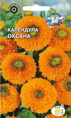 Календула Оксана оранжевая с зеленым центром в интернет гипермаркете «Планета Лета». Фото