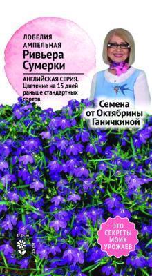 Лобелия ампельная Ривьера сумерки 10шт Ганичкина в интернет гипермаркете «Планета Лета». Фото