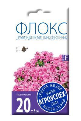 Флокс Промис Пинк махровый 7 шт в интернет гипермаркете «Планета Лета». Фото
