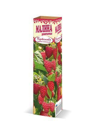 Малина (традиционная) Скромница в интернет гипермаркете «Планета Лета». Фото