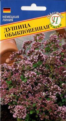 Душица обыкновенная в интернет гипермаркете «Планета Лета». Фото