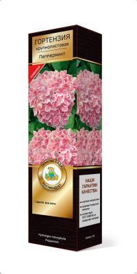 Гортензия крупнолистовая Пепперминт П в интернет гипермаркете «Планета Лета». Фото