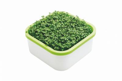 Проращиватель «Здоровья КЛАД» (для микрозелени) в интернет гипермаркете «Планета Лета». Фото