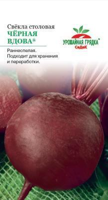 Сельдерей черешковй Паскаль в интернет гипермаркете «Планета Лета». Фото