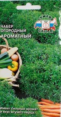 Чабер огородный Ароматный в интернет гипермаркете «Планета Лета». Фото