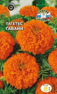 Тагетес Гавайи Евро, 0,2 в интернет гипермаркете «Планета Лета». Фото