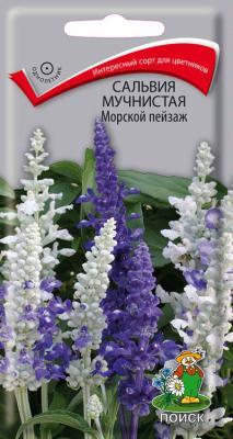 Сальвия мучнистая Морской пейзаж (ЦВ) ("1) 10шт в интернет гипермаркете «Планета Лета». Фото