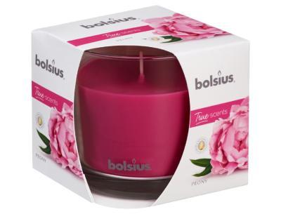 Свеча Болсус в стекле садовая 94*91 фуксия в интернет гипермаркете «Планета Лета». Фото