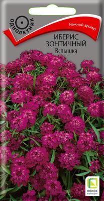 Иберис зонтичный Вспышка (ЦВ ) ("1) 0,3гр. в интернет гипермаркете «Планета Лета». Фото