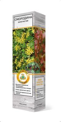 Смородина золотистая Сибирское солнышко П  в интернет гипермаркете «Планета Лета». Фото Смородина золотистая Сибирское солнышко П в интернет гипермаркете «Планета Лета». Фото