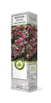 Вейгела цветущая Пурпурная Нана в кор. в интернет гипермаркете «Планета Лета». Фото