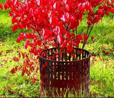 Ограждение для кустов и деревьев 35*21см, 4 шт, коричневый в интернет гипермаркете «Планета Лета». Фото