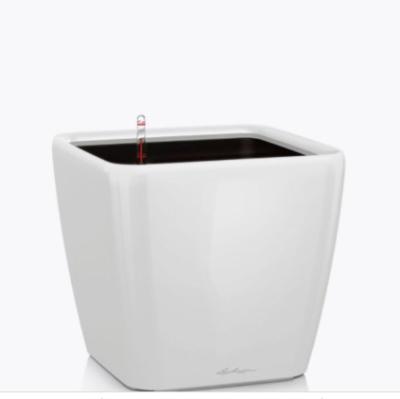 Кашпо   Lechuza Quadro LS Complete (white high gloss), 28x28xH26см в интернет гипермаркете «Планета Лета». Фото