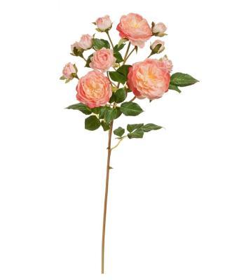 Роза Дэвид Остин ветка Спрей пастельно-розово-малиновая (3 цв, 8 бут) в-51 см 30.11170014PK в интернет гипермаркете «Планета Лета». Фото