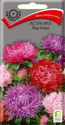 Астра игл Жар-птица (ЦВ) 0,3 гр. в интернет гипермаркете «Планета Лета». Фото