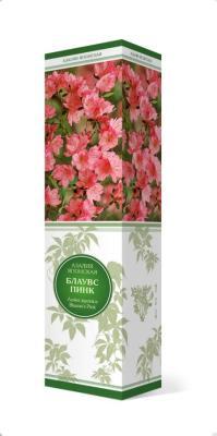 Азалия японская Блаувс Пинк П в интернет гипермаркете «Планета Лета». Фото