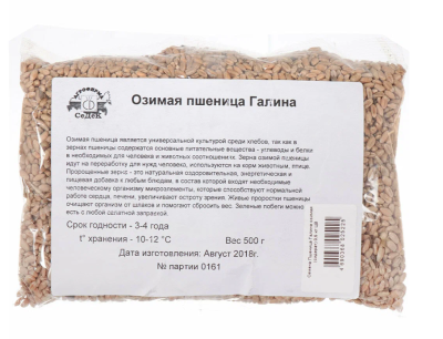 Пшеница Галина озимая 0,5 кг в интернет гипермаркете «Планета Лета». Фото