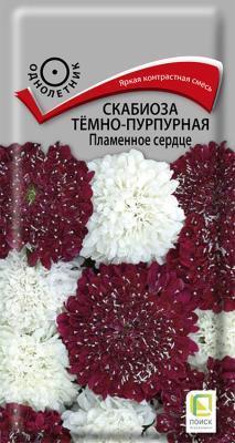 Скабиоза тeмно-пурпурная Пламенное сердце (ЦВ) ("1) 10шт в интернет гипермаркете «Планета Лета». Фото