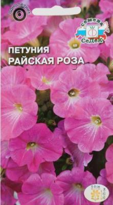 Петуния Райская роза компактная в интернет гипермаркете «Планета Лета». Фото