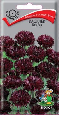 Василёк Блэк бол (ЦВ) ("1) 1гр. в интернет гипермаркете «Планета Лета». Фото
