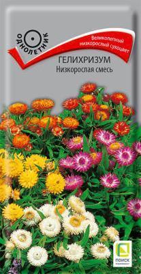 Гелихризум Низкорослая смесь (ЦВ) ("1) 0,1гр. в интернет гипермаркете «Планета Лета». Фото