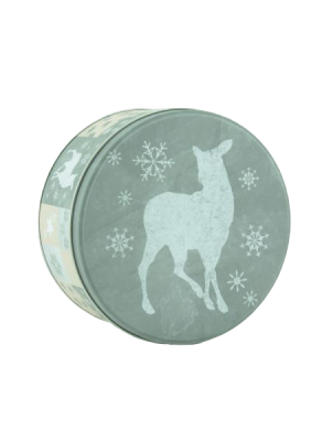 Банка с крышкой металл 135x135x71 мм нг ABW200050/3 в интернет гипермаркете «Планета Лета». Фото