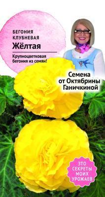 Бегония клубневая Желтая 6 шт Ганичкина в интернет гипермаркете «Планета Лета». Фото