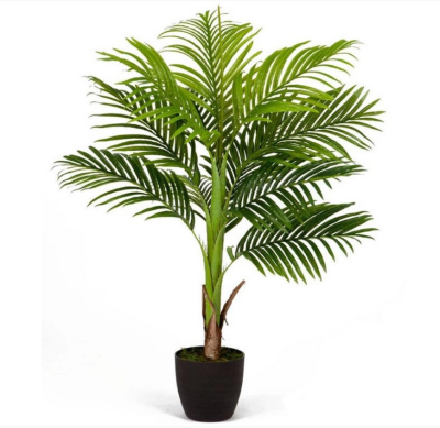Пальма Арека Бетель в-110 см (Sensitive Botanic) (1 ствол, 11 листьев) в интернет гипермаркете «Планета Лета». Фото