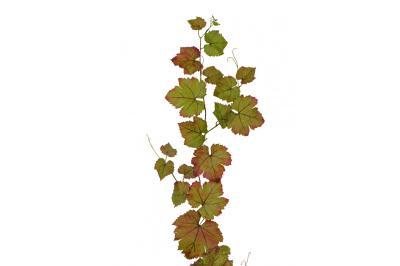 Виноградная гирлянда зеленая с прожилками бордо 230 см 6/48 20.6225GNR в интернет гипермаркете «Планета Лета». Фото