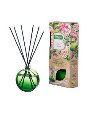 Ароматизатор декоративный Breesal Arome Sticks Гармония красоты пробуж. чувст-ти в интернет гипермаркете «Планета Лета». Фото