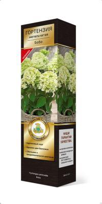 Гортензия метельчатая Бобо (туба) П в интернет гипермаркете «Планета Лета». Фото