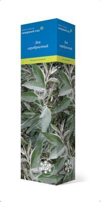 Лох серебристый/ЦКор в интернет гипермаркете «Планета Лета». Фото