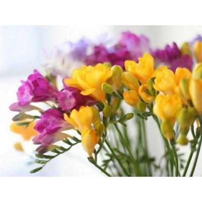 Врезия Mix 3 pp, Гор12, Выс40 в интернет гипермаркете «Планета Лета». Фото