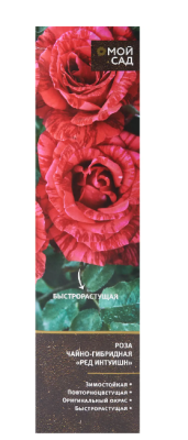Роза чайно-гибридная Ред Интуишн (туба), в интернет гипермаркете «Планета Лета». Фото