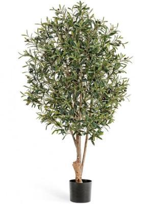 Олива Твист натуральная с плодами 150 см 10.28205N в интернет гипермаркете «Планета Лета». Фото