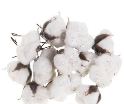 Хлопок на вставке 4см KLD-1718A нг в интернет гипермаркете «Планета Лета». Фото