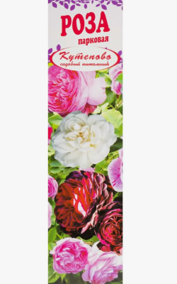 Роза парковая Дафна/ЦКор П в интернет гипермаркете «Планета Лета». Фото