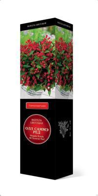 Вейгела цветущая Олл Саммэ Ред П в интернет гипермаркете «Планета Лета». Фото