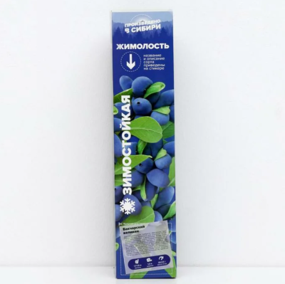 Жимолость камчатская Бакчарский Великан (туба) в интернет гипермаркете «Планета Лета». Фото