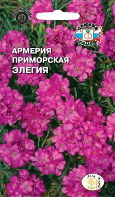Армерия Элегия приморская, смесь в интернет гипермаркете «Планета Лета». Фото