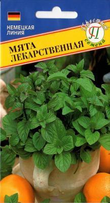 Мята лекарственная в интернет гипермаркете «Планета Лета». Фото