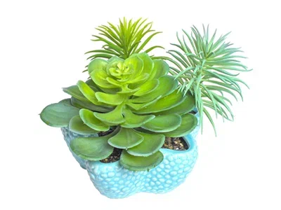 Суккуленты + декор, Гор4, Выс5 в интернет гипермаркете «Планета Лета». Фото