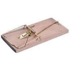 Крысоловка STAYER "STANDARD", деревянное основание в интернет гипермаркете «Планета Лета». Фото