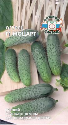Огурец Моцарт F1 8 шт в интернет гипермаркете «Планета Лета». Фото